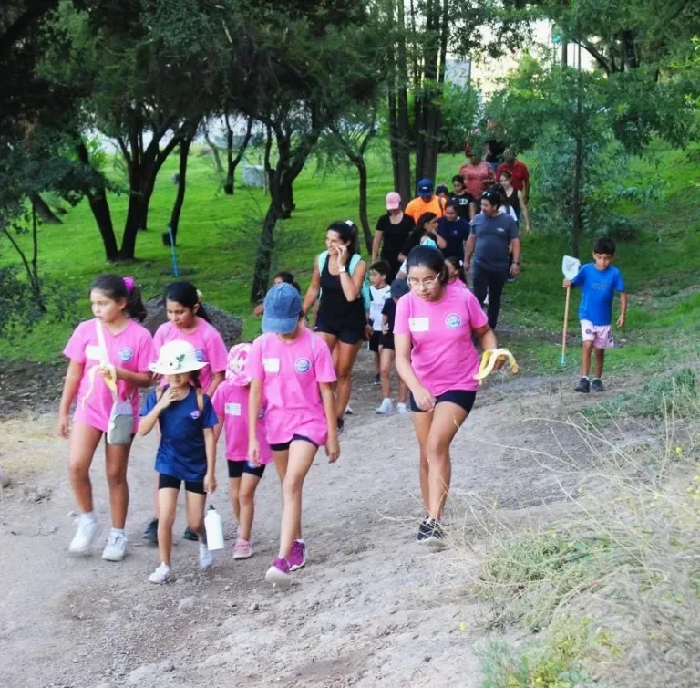Club Girasoles cierra sus talleres de verano con un Trekking Educativo en el Parque Cerro Carlos Condell de Curicó