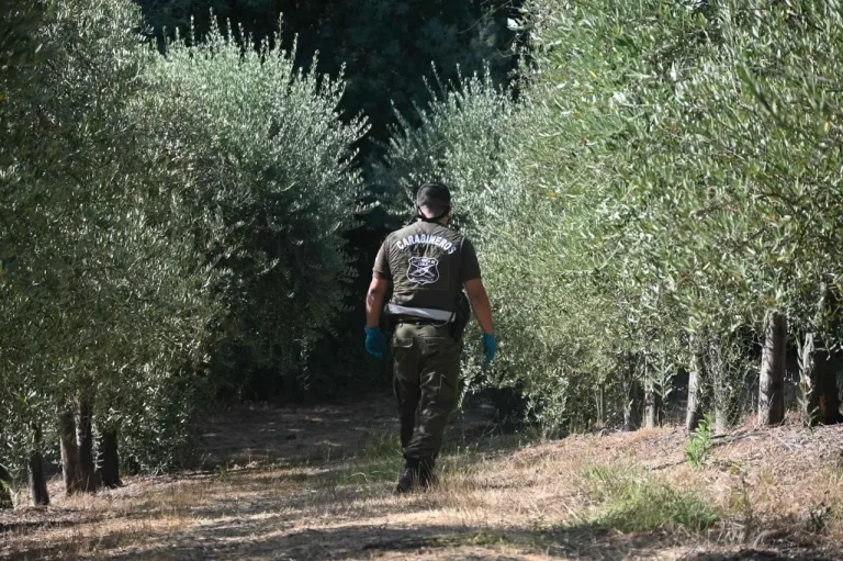 Carabineros de LABOCAR investiga incendio forestal en la comuna de Río Claro