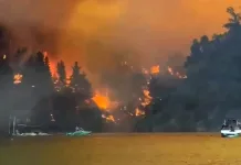 Presentan plan de acción 2025-2026 para el combate de incendios forestales en la región de O’Higgins incedio-forestallitueche