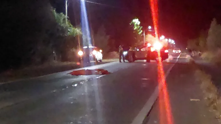 Peatón fallece atropellado en la comuna de Linares