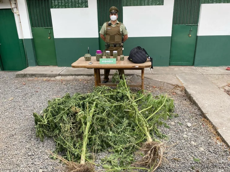 Carabineros detiene a individuo con orden vigente y marihuana en Sagrada Familia