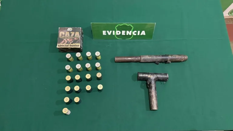 Carabineros Detiene a Individuo por Tenencia Ilegal de Arma de Fuego en Constitución