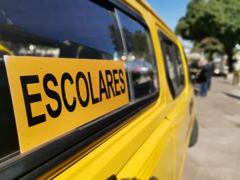 Desvinculan a chofer que obligó a niño de seis años a bajarse de microbús escolar en Colbún