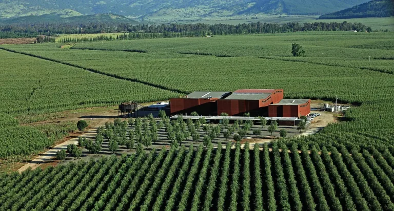 Millonario robo afecta a empresa agroindustrial Siracusa en Villa Prat