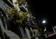 Cementerio Municipal de Curicó anuncia nuevas obras de infraestructura y propuesta de columbario con capacidad para 138 ánforas cementerio curico - nocturno