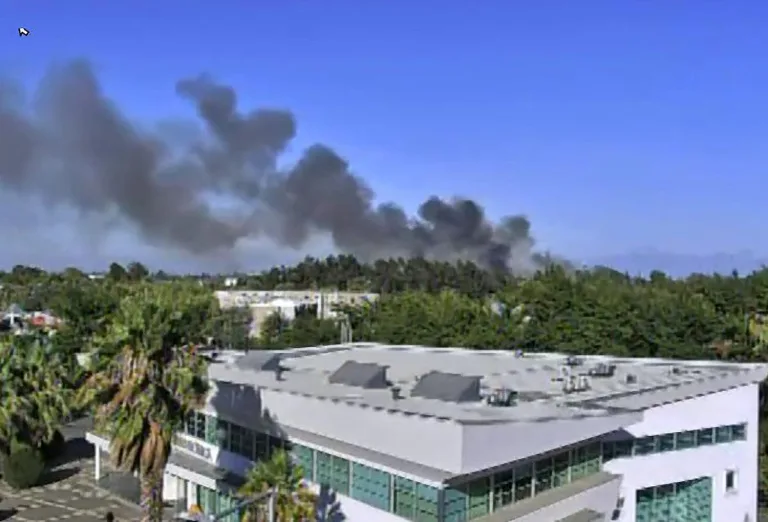 Detienen a sospechosos por incendio en el Jardín Botánico de la Universidad de Talca