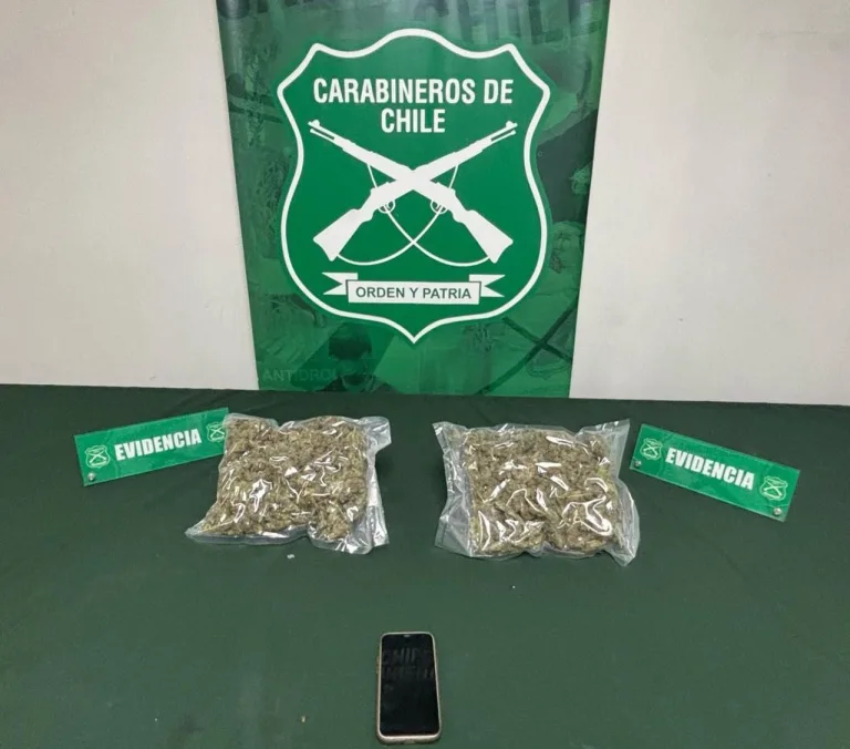 Masiva fiscalización en Ruta 5 deja siete detenidos y más de cinco kilos de drogas incautadas frente a Angostura