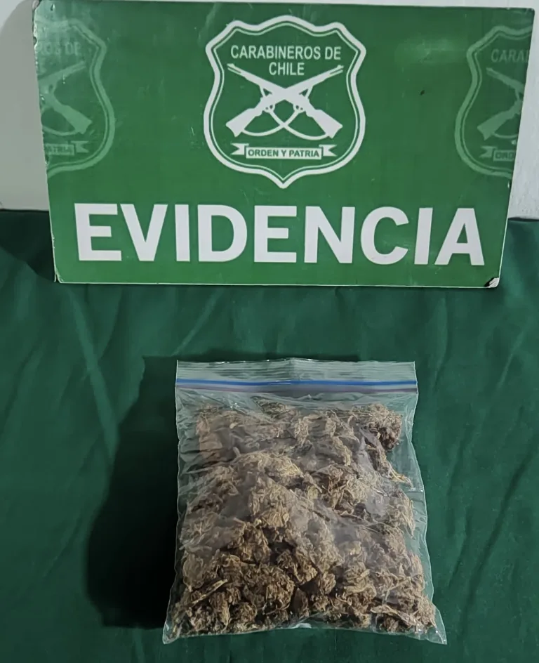 En Chimbarongo detienen a sujeto que ontentó evadir control de carabineros por mantener droga entre sus pertenencias