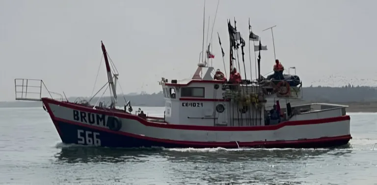 Armada de Chile anuncia el término de la búsqueda de los tripulantes desaparecidos de la lancha “Bruma” tras 17 días de operativo