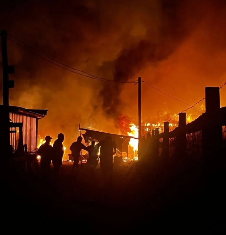 Fiscalía formaliza a imputado por incendio en vivienda que dejó 53 damnificados en la comuna de Palmilla Fiscalía formaliza a imputado por incendio en vivienda que dejó 53 damnificados en la comuna de Palmilla