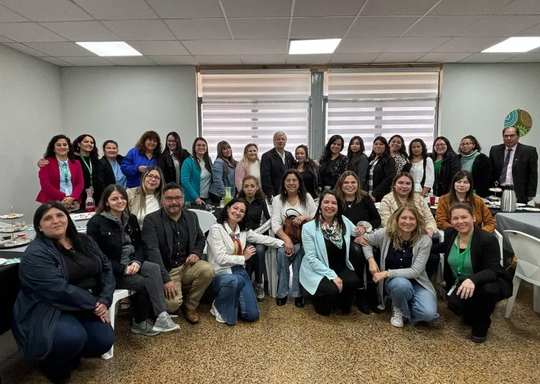 Veinte mujeres de Curicó fueron beneficiadas con el Fondo Concursable del Programa Mujeres Jefas de Hogar