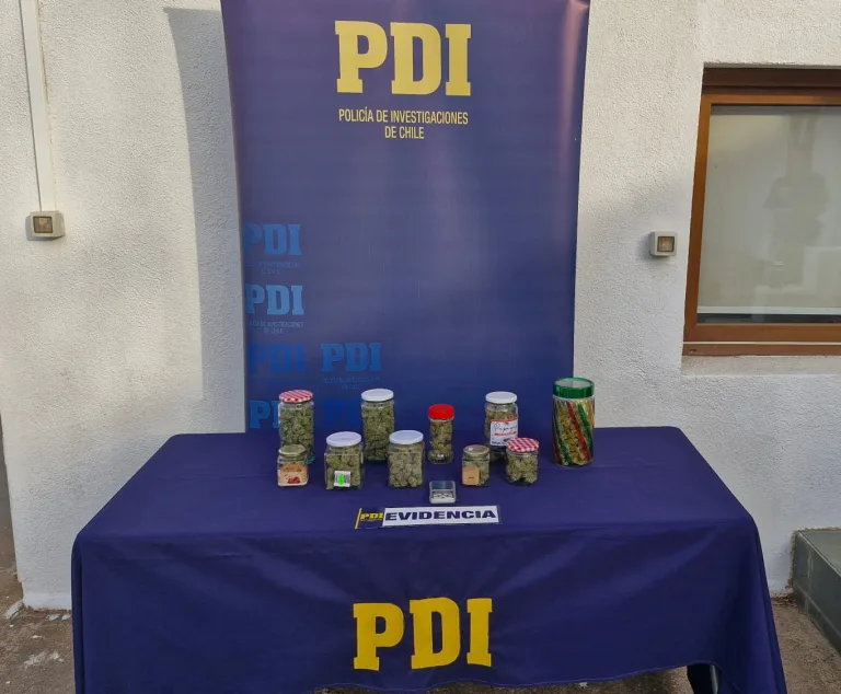 PDI incauta cannabis procesada y detiene a un hombre por cultivo ilegal en Pichilemu