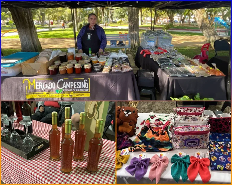 Empedrado se luce en Talca: emprendedores locales llevan sus sabores y tradiciones al Espacio TUE