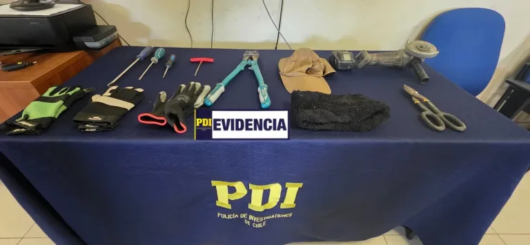 Detienen en flagrancia a sujeto por receptáción de especies en la comuna de Maule