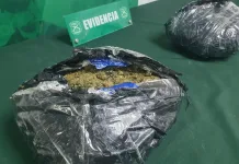 Carabineros detienen a sujeto que transportaba más de 2 kilos de marihuana en bus interurbano en Angostura IMG_5597