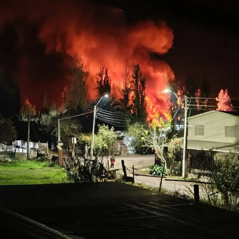 Gigantesco incendio moviliza a Bomberos por siniestro en bodega de maderas en Pelequén