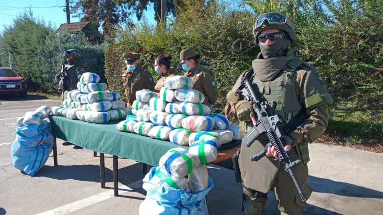 Histórico decomiso de marihuana en Chimbarongo deja tres detenidos y un vehículo robado recuperado