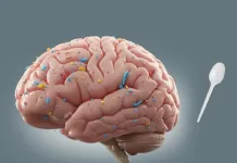cerebro-1