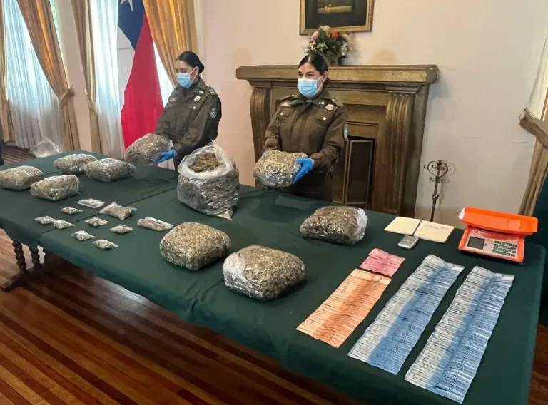 Desbaratan banda de narcotraficantes con más de 12 kilos de marihuana en Talca