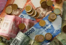 Cámara aprueba reajuste al salario mínimo y despacha el proyecto al Senado dinero-chile-5