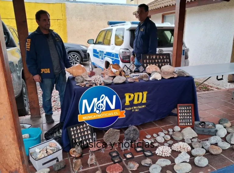 PDI incauta más de 300 piezas arqueológicas en Curicó: un detenido