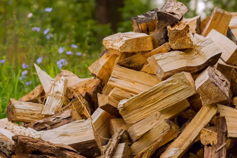 Autoridades intensifican fiscalización a locales de venta de leña en Curicó