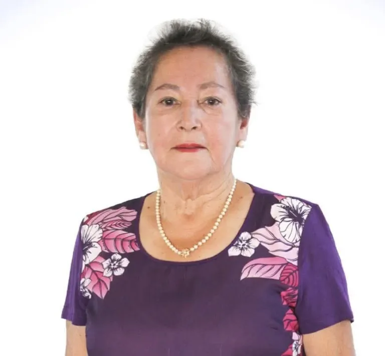 Sin resultados positivos en búsqueda de concejala desaparecida en Villa Alegre