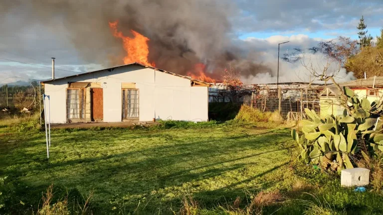 Incendio destruye bodega en sector El Milán de Palmilla