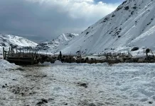 Cierre de barreras sanitarias autoridades llaman a ganaderos del Maule a no subir animales a la cordillera