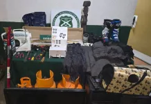 Detienen a dos sujetos por serie de robos en la comuna de Pichilemu Detienen a dos sujetos por serie de robos en la comuna de Pichilemu