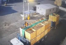 Carabineros detiene a 13 personas por millonario robo de camión frutero en Graneros IMG_6416