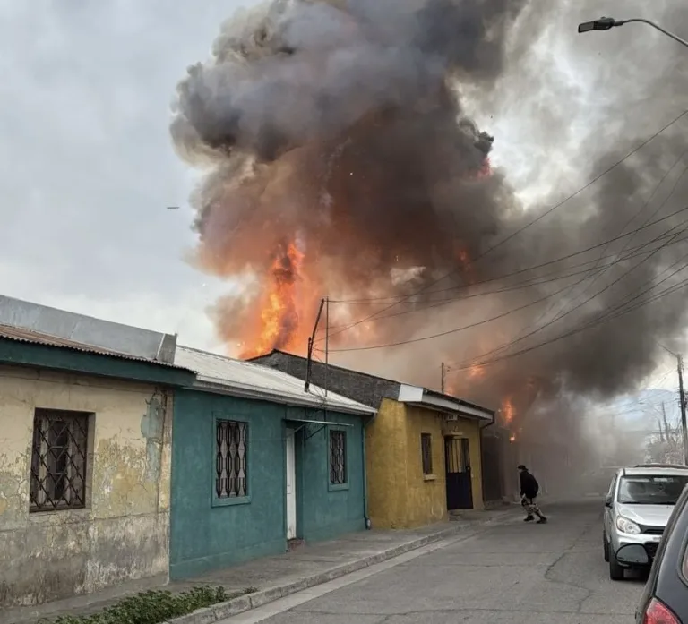 Incendio de viviendas en Rancagua deja 13  gatos y tres perros fallecidos