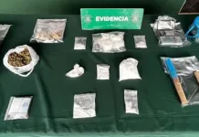 Investigación permite detención de dos personas por microtráfico de drogas en Lolol IMG_7376