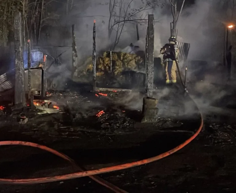 Incendio afectó caballeriza en Graneros: no se reportaron lesionados y se gestiona atención para equino afectado