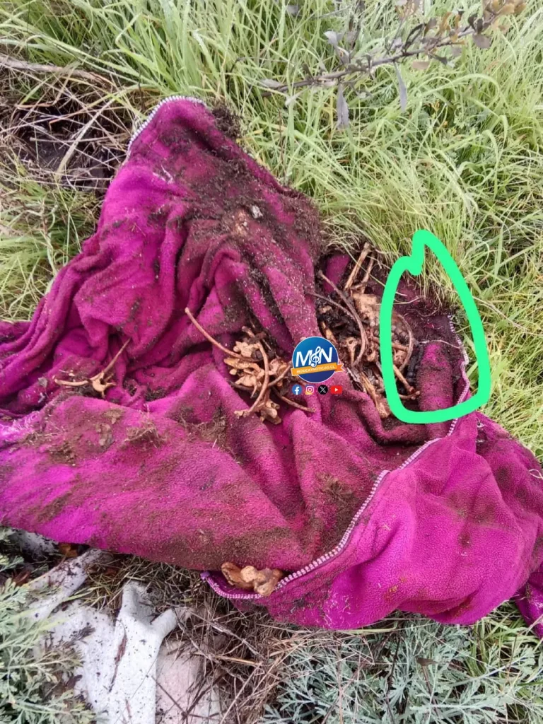 Investigan hallazgo de lo que serian restos óseos humanos en antiguo ramal ferroviario a Pichilemu