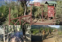 Reserva Nacional Río de los Cipreses