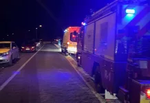 Una persona fallece tras atropello en sector Colín, comuna de Sagrada Familia
