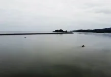 Este sábado se retoma búsqueda de tres pescadores desaparecidos en San Pedro de la Paz caleta-alto-del-rey