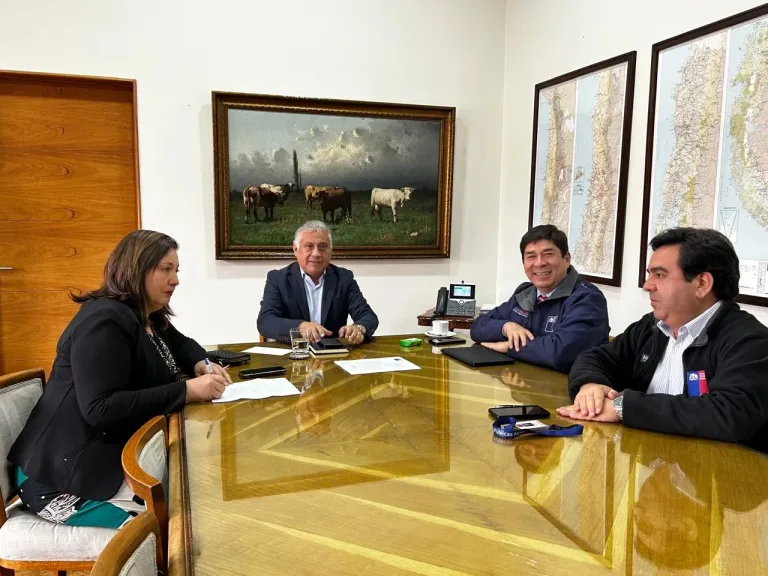 Confirman licitación de estudio para doble vía en la Ruta L30M entre San Javier y Constitución