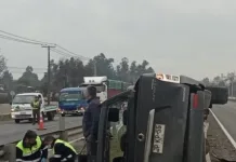 0804e416-573d-4f57-8818-edcf4c3d41df