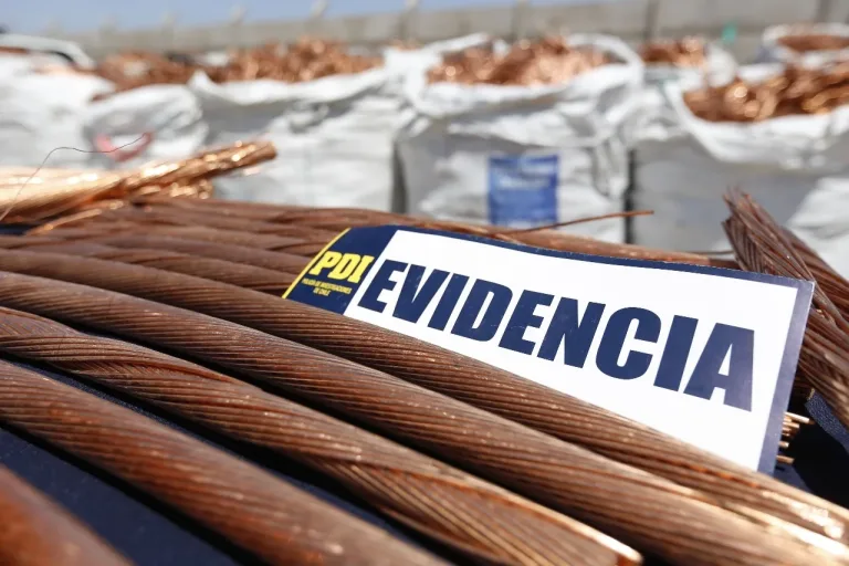 Región del Maule consolida fuerza de tarea contra el robo de cables con enfoque intersectorial