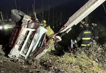 Choque contra poste en camino a Los Niches dejó una persona lesionada y cortes de luz en el sector 5e310116-5325-485c-a1af-930cc98b2b11