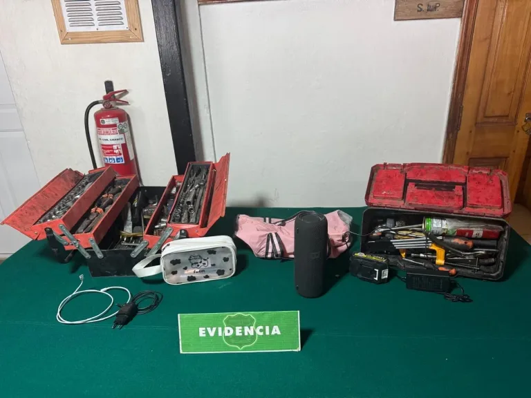 Detienen a dos personas por robo desde el interior de un vehículo en Curanipe, comuna de Pelluhue