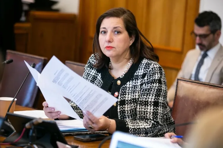 Senadora Vodanovic ofició a SUBTEL por deficiente conectividad digital y telefónica en zonas rurales del Maule