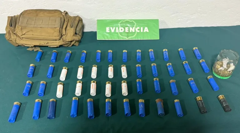 Carabineros de Chanco detuvo a tres sujetos por porte ilegal de municiones, droga y especies marinas