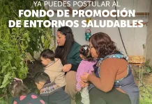 Abren postulaciones al Fondo de Promoción de Entornos Saludables 2025 en la Región del Maule