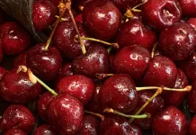Exportación de cerezas del Maule: crecimiento histórico, pero con importantes desafíos para el sector Cerezas