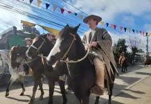 Diputado Benjamín Moreno destaca el valor de la Fiesta de la Virgen del Carmen en Pelarco: “Hoy esta comuna fue el corazón de nuestras tradiciones” Diputado Benjamín Moreno destaca el valor de la Fiesta de la Virgen del Carmen en Pelarco