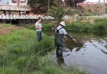 Estudio alerta sobre riesgos ecológicos en la Laguna Petrel de Pichilemu-1