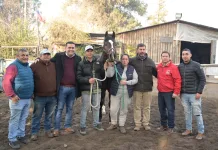 Gobernador del Maule entrega apoyo a jinetes del Club Hípico San Pedro ante brote nacional de Anemia Infecciosa Equina Gobernador del Maule entrega apoyo a jinetes del Club Hípico San Pedro ante brote nacional de Anemia Infecciosa Equina